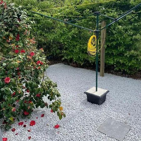 Apartament Mountain View *